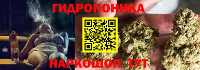мяу мяу мука Краснознаменск