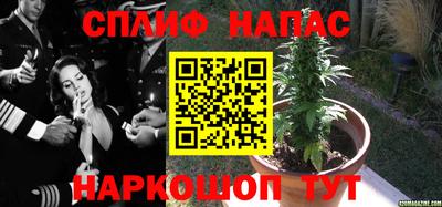 мяу мяу мука Комсомольск-на-Амуре
