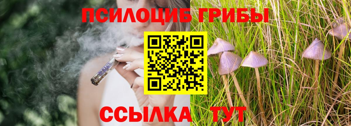 Галлюциногенные грибы прущие грибы Кирово-Чепецк